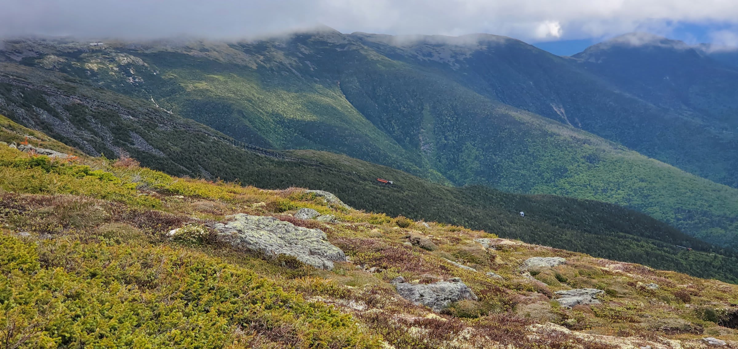 Alpine tundra with the Cog Railway and ravine beyond