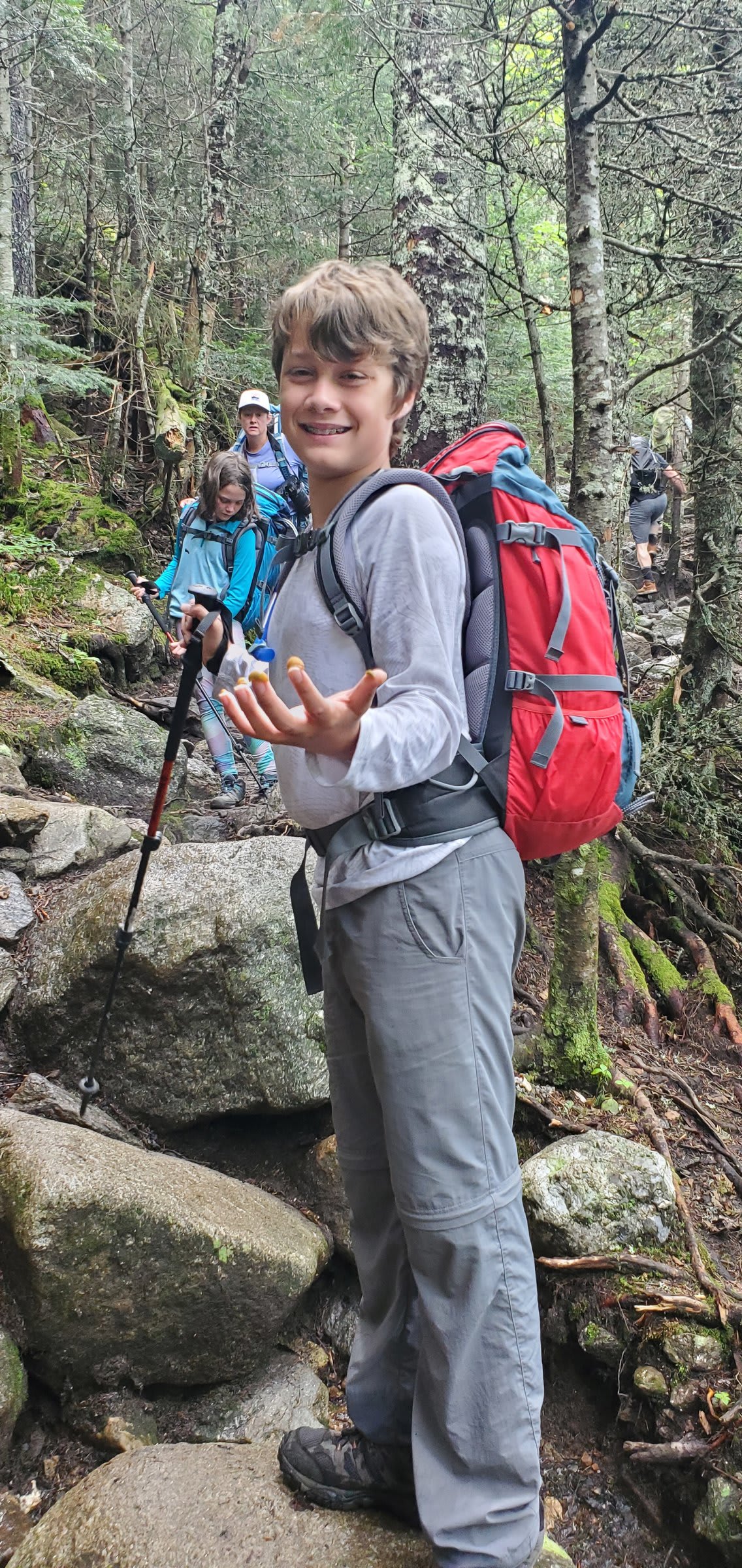 Forest section of the descent trail