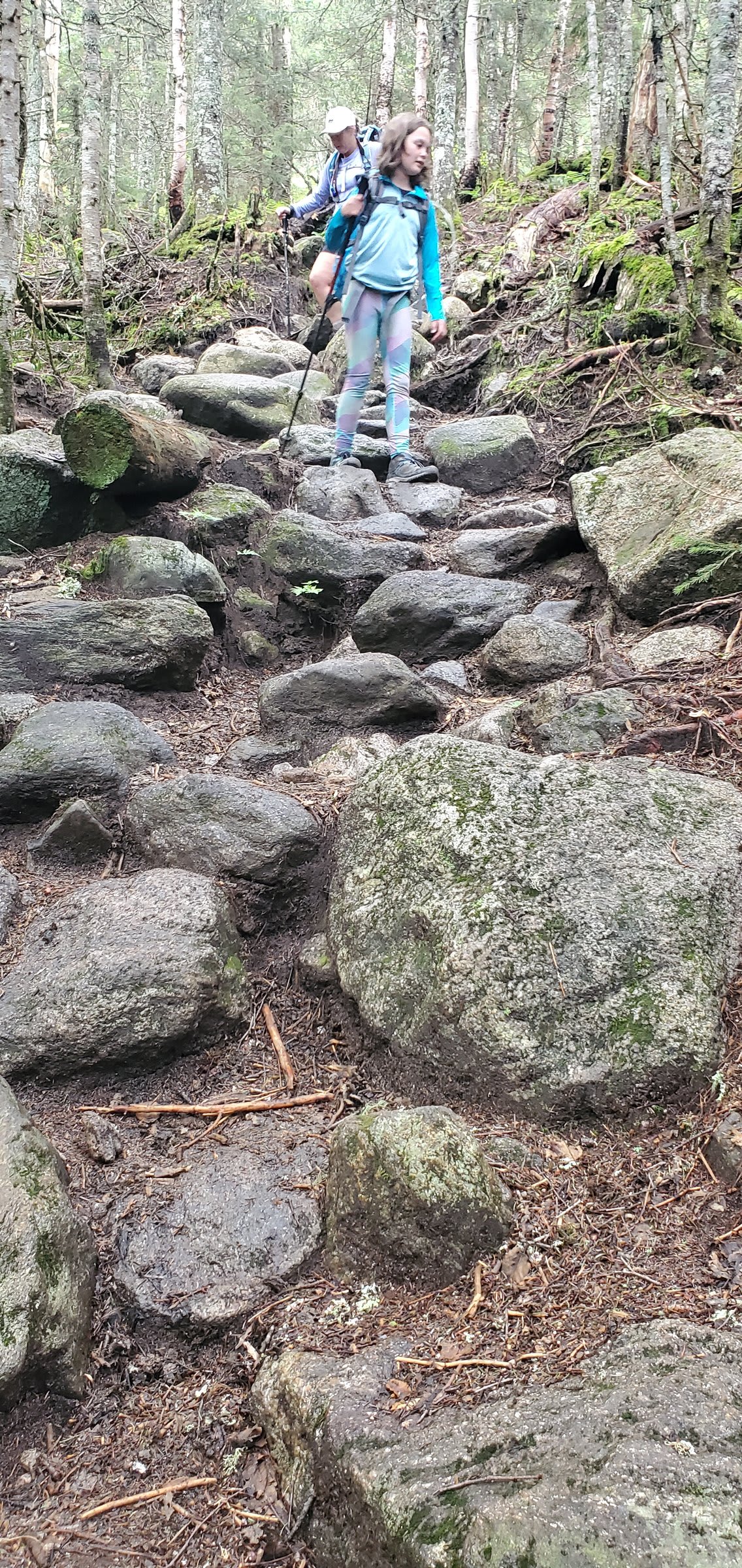 Final stretch of trail near the trailhead