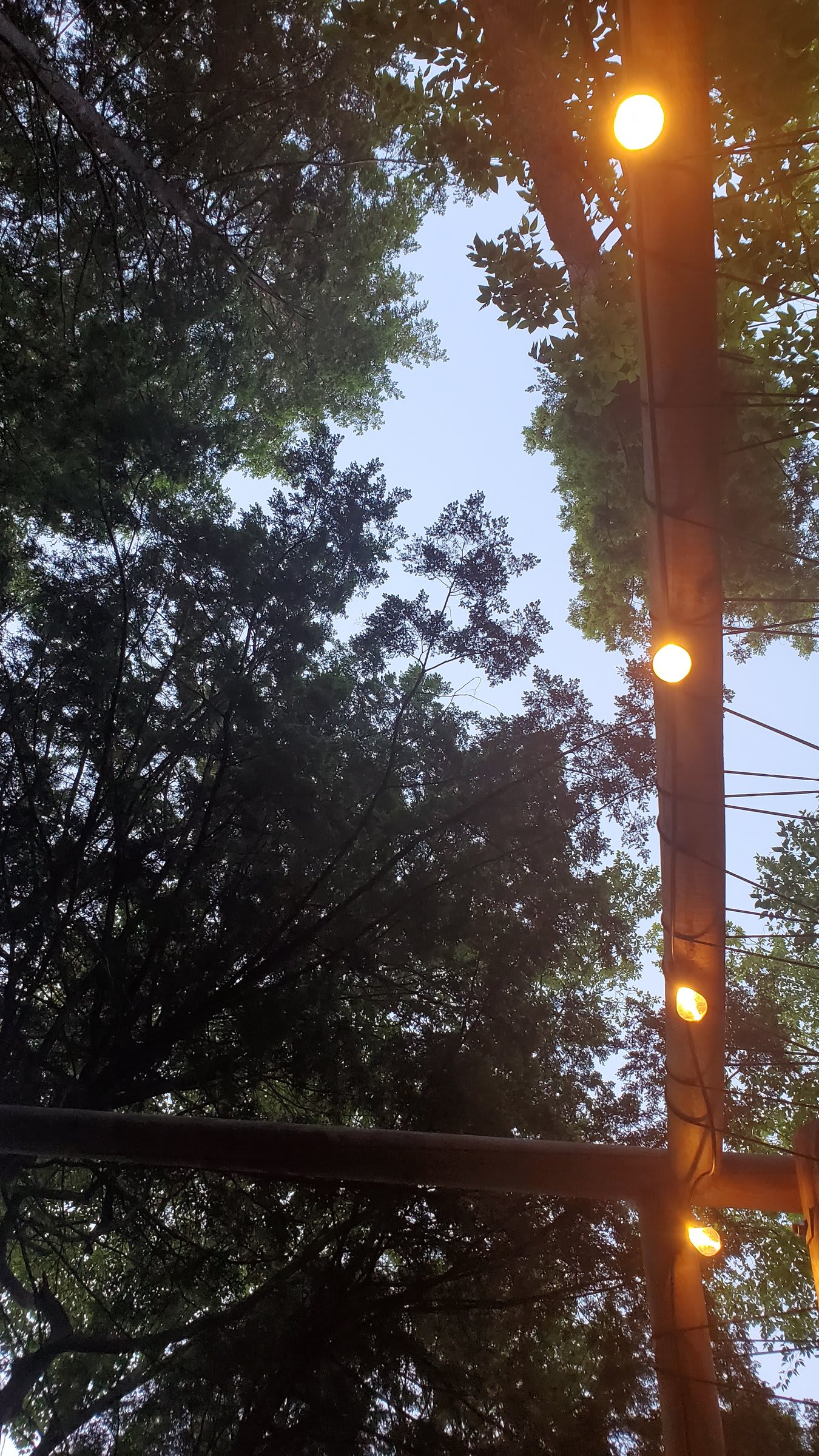 Peaceful forest setting surrounding the Huttopia campground