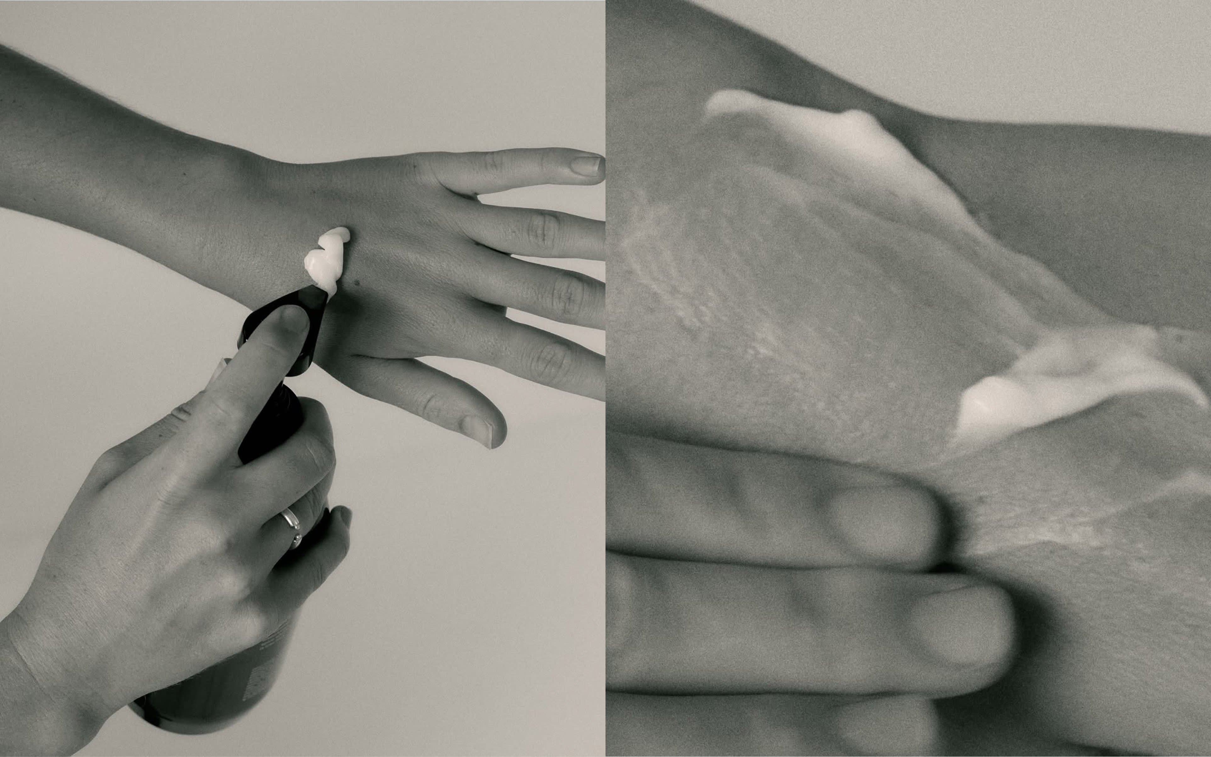 art direction // Ashley & Co