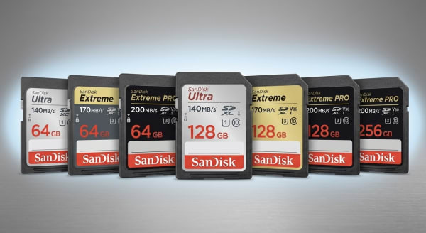 SanDisk 64GB,128,256 SD Card