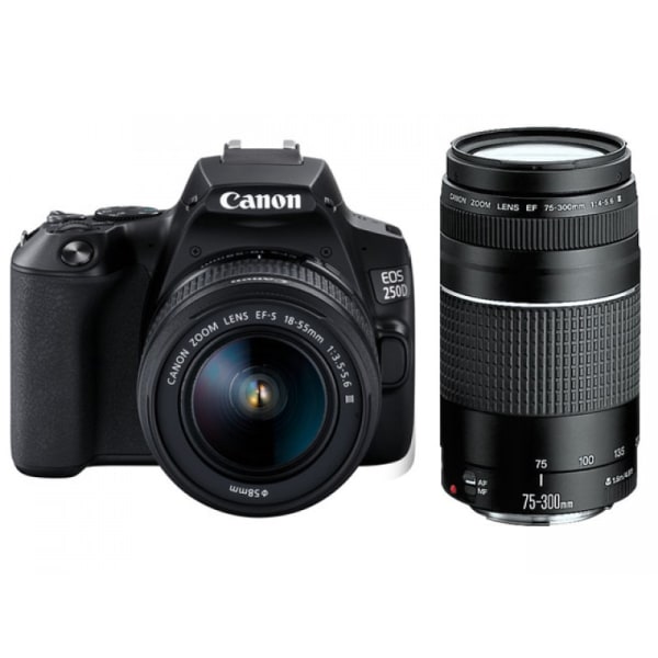 Canon EOS 250D DSLR