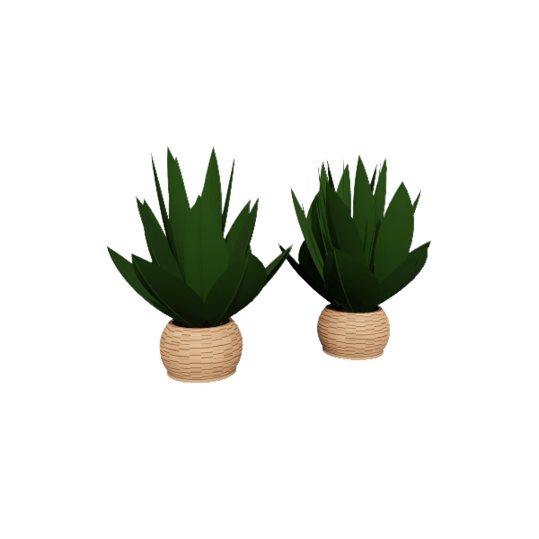 Indoor plants
