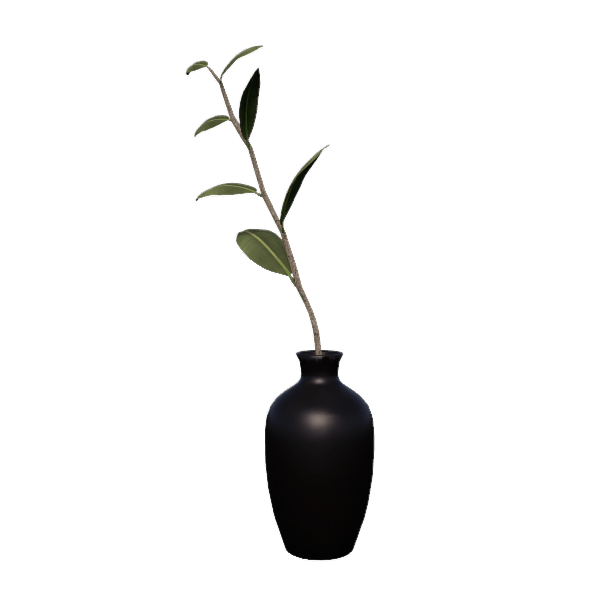 black vase