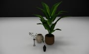 Decoration