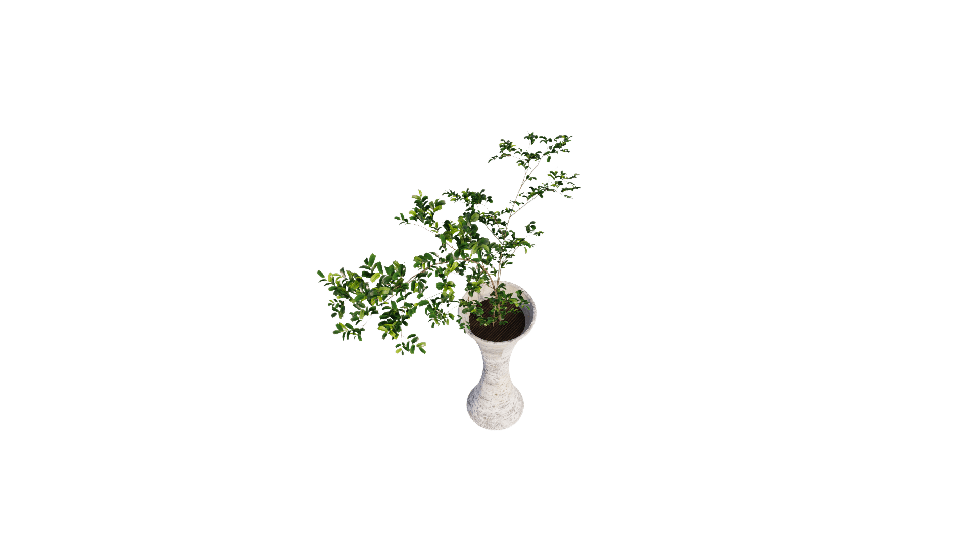 Ceramic vase