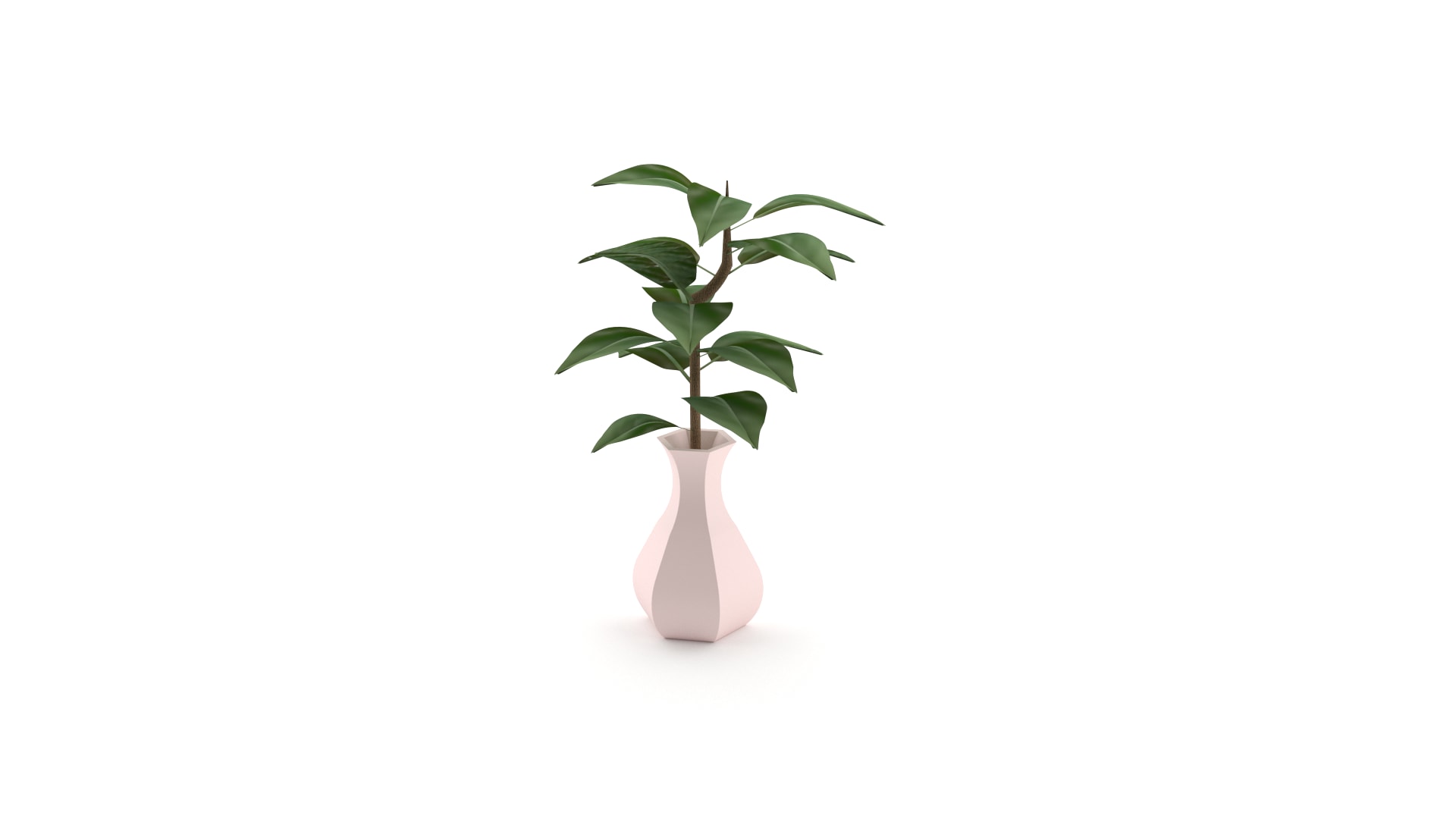 Pink flower vase