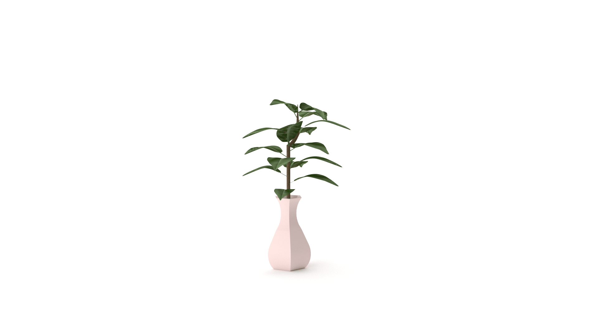Pink flower vase