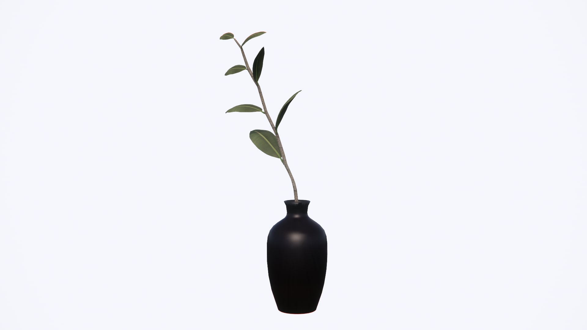 black vase
