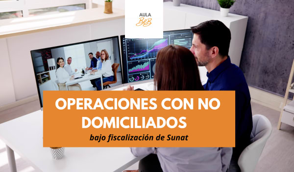 Imagen representativa del curso Operaciones con no domiciliados bajo fiscalización SUNAT