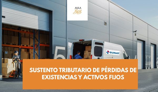 Imagen representativa del curso SUSTENTO TRIBUTARIO DE PÉRDIDAS DE EXISTENCIAS Y ACTIVOS FIJOS