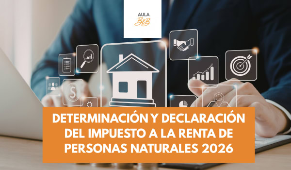 Imagen representativa del curso Determinación y Declaración del Impuesto a la Renta de Personas Naturales 2026