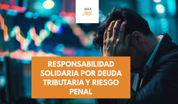 Imagen representativa del curso Responsabilidad solidaria por deuda tributaria y riesgo penal
