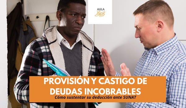 Imagen representativa del curso PROVISIÓN Y CASTIGO DE DEUDAS INCOBRABLES