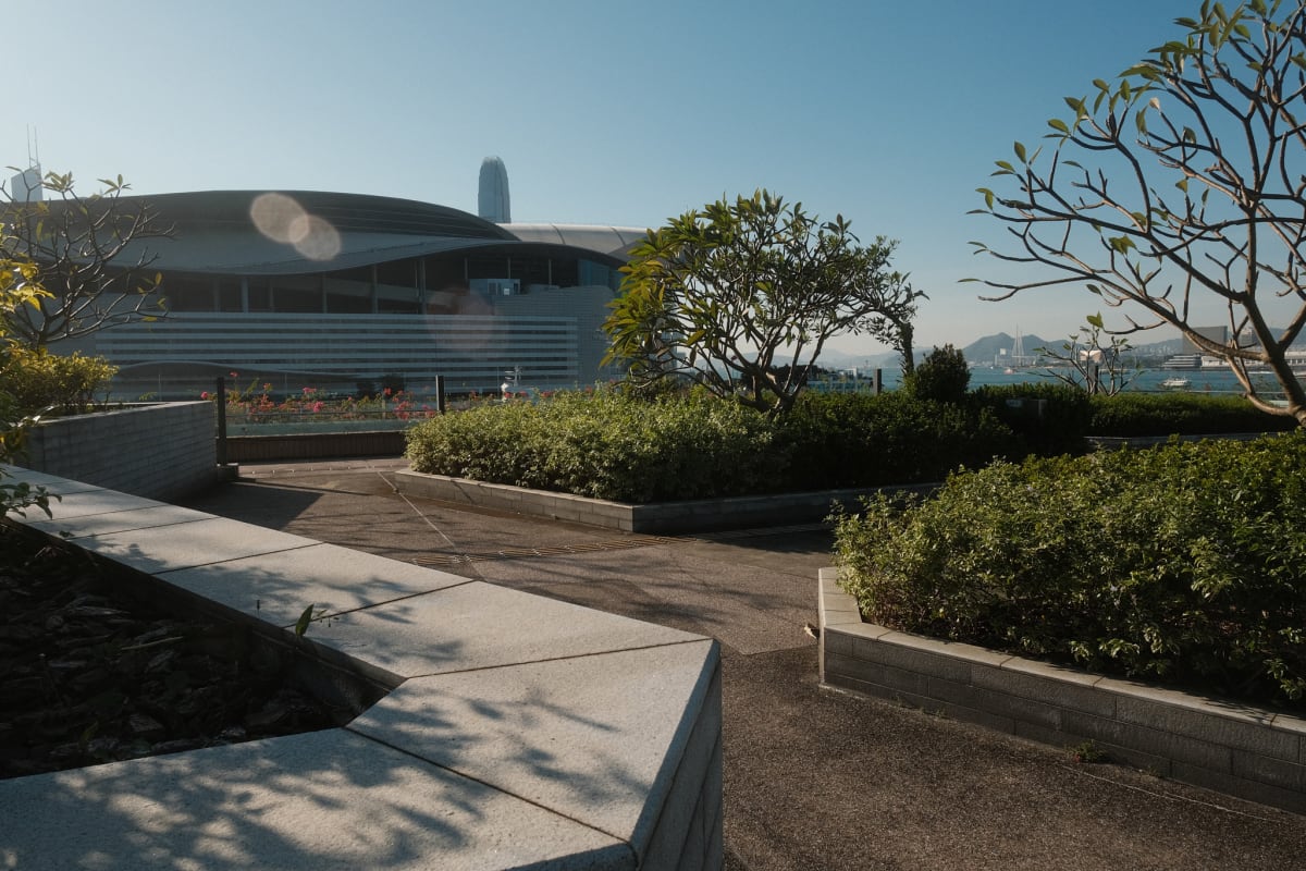 The trees and shrubs on the Wan Chai observation deck.