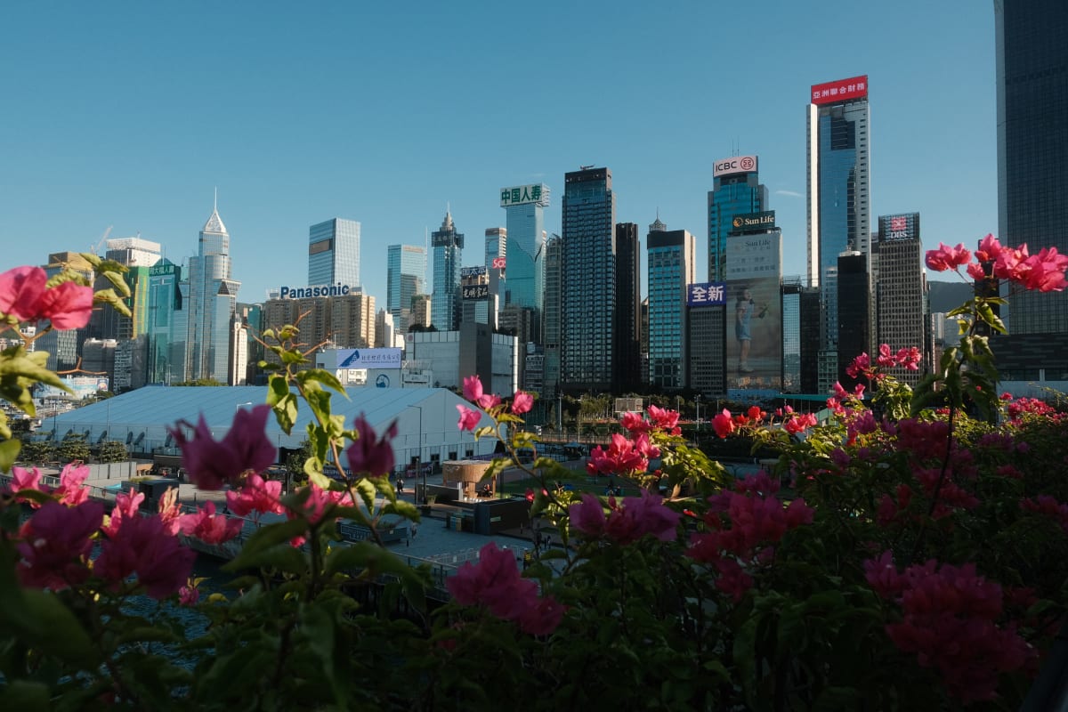 Another part of the Hong Kong skyline visible from the Wan Chai observation deck.