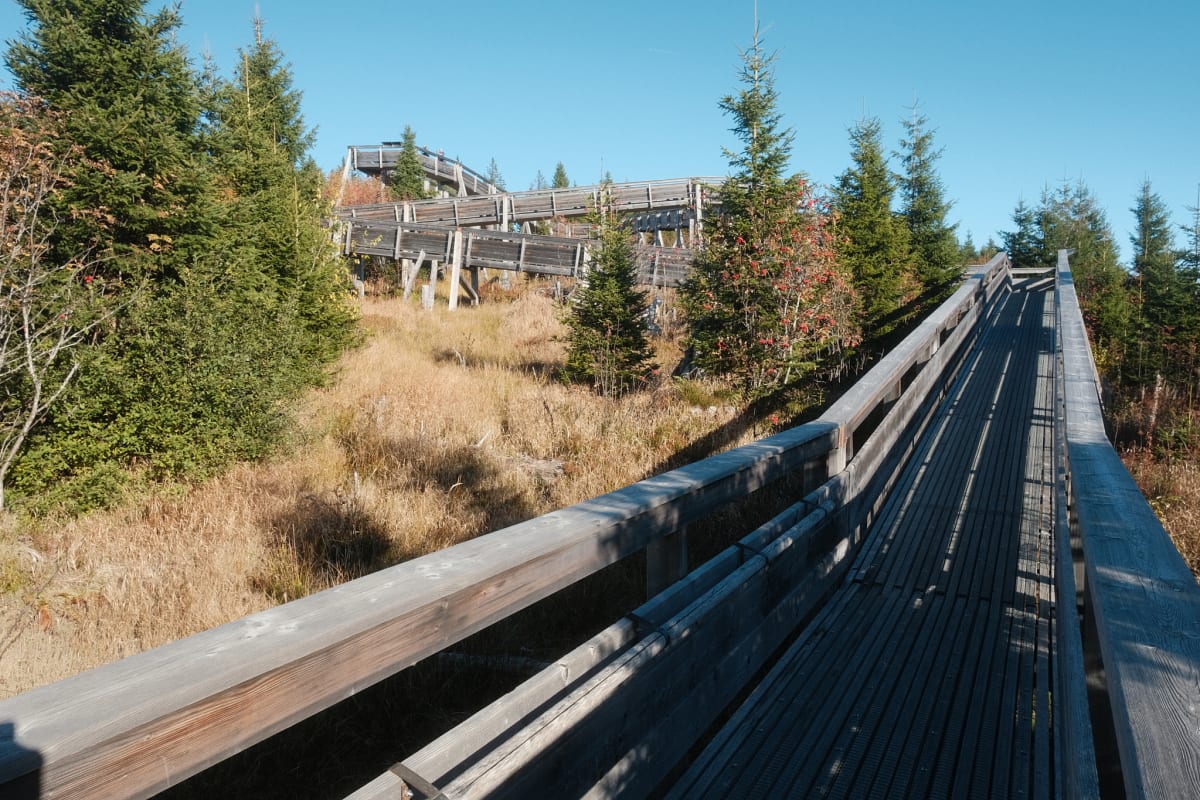 The Gäggersteg, a wooden structure built for walking above the tree reserve.