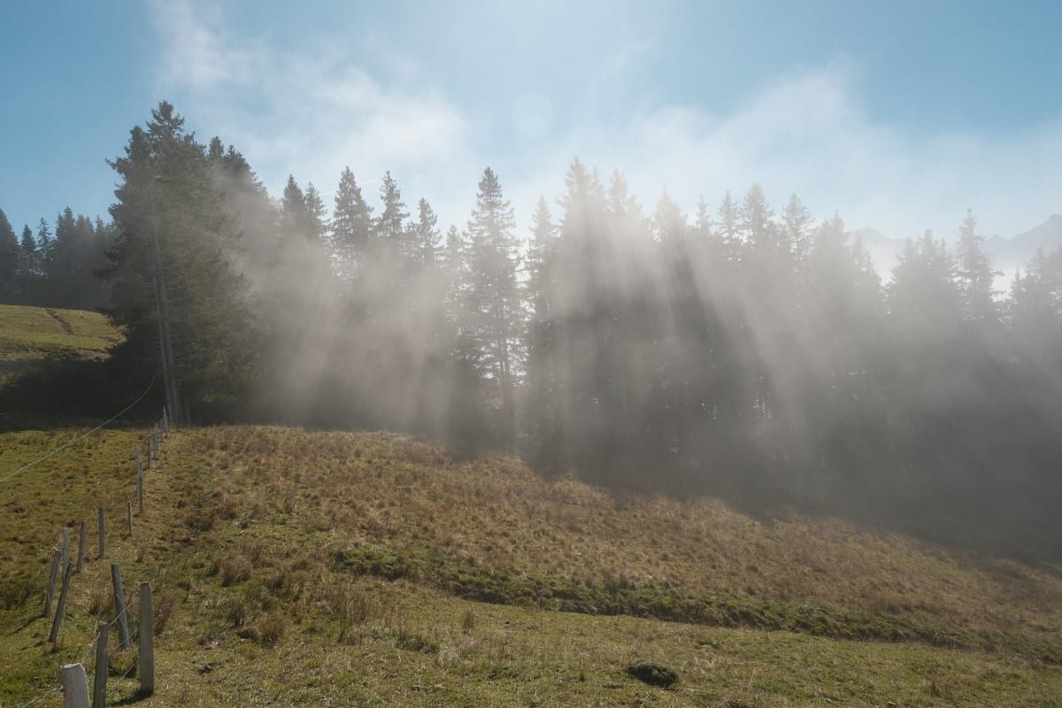 On the border of the Nebelmeer, the sun shines through the whispy clouds reaching up towards the path.
