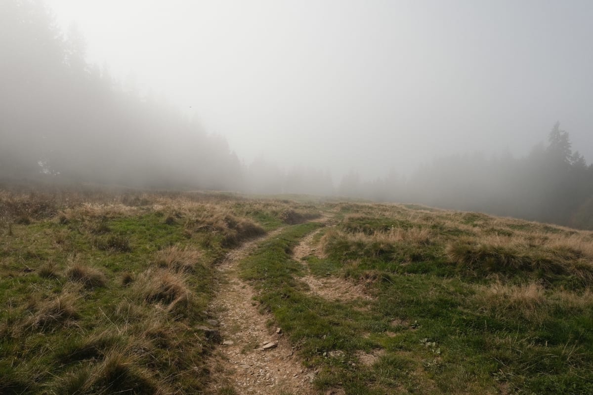 More thick clouds as we make our way over a farmer's field, still part of the Wanderweg.