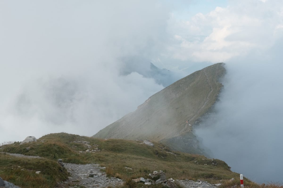 The start of the hike, going through the cow gates.