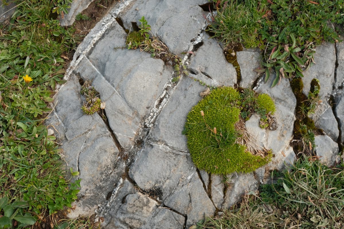 Elaine standing on the hiking path.