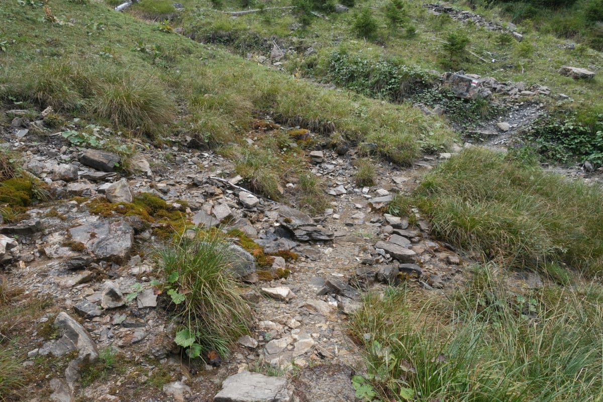 The rocky path through the valley.