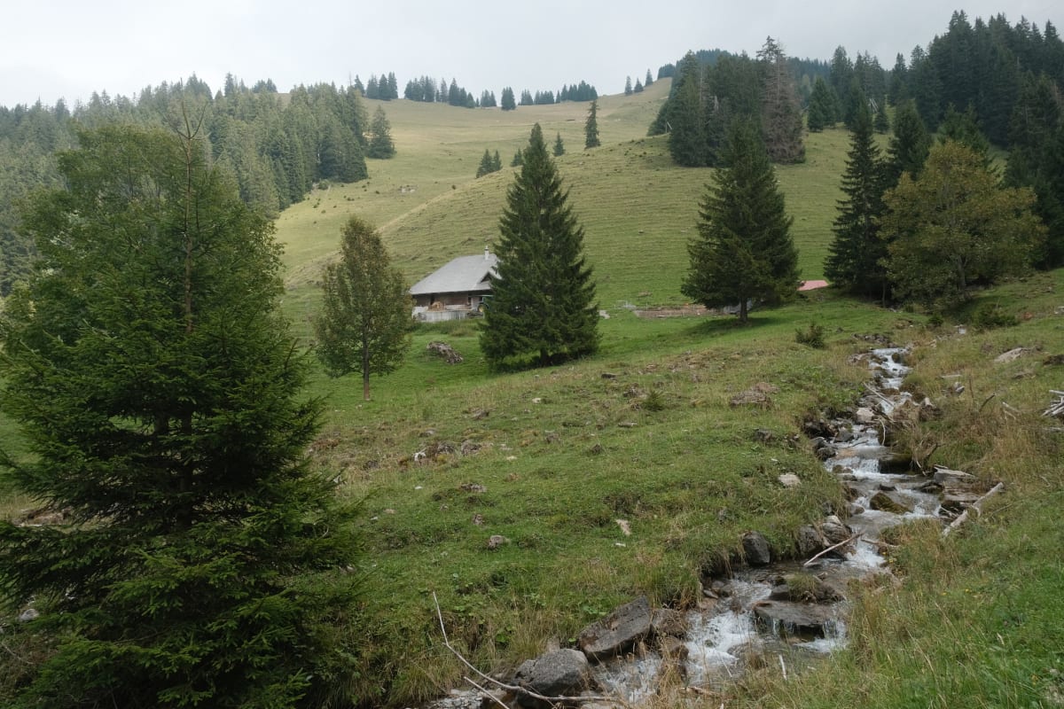 A view back up the hill with a small brook and a farmhouse.