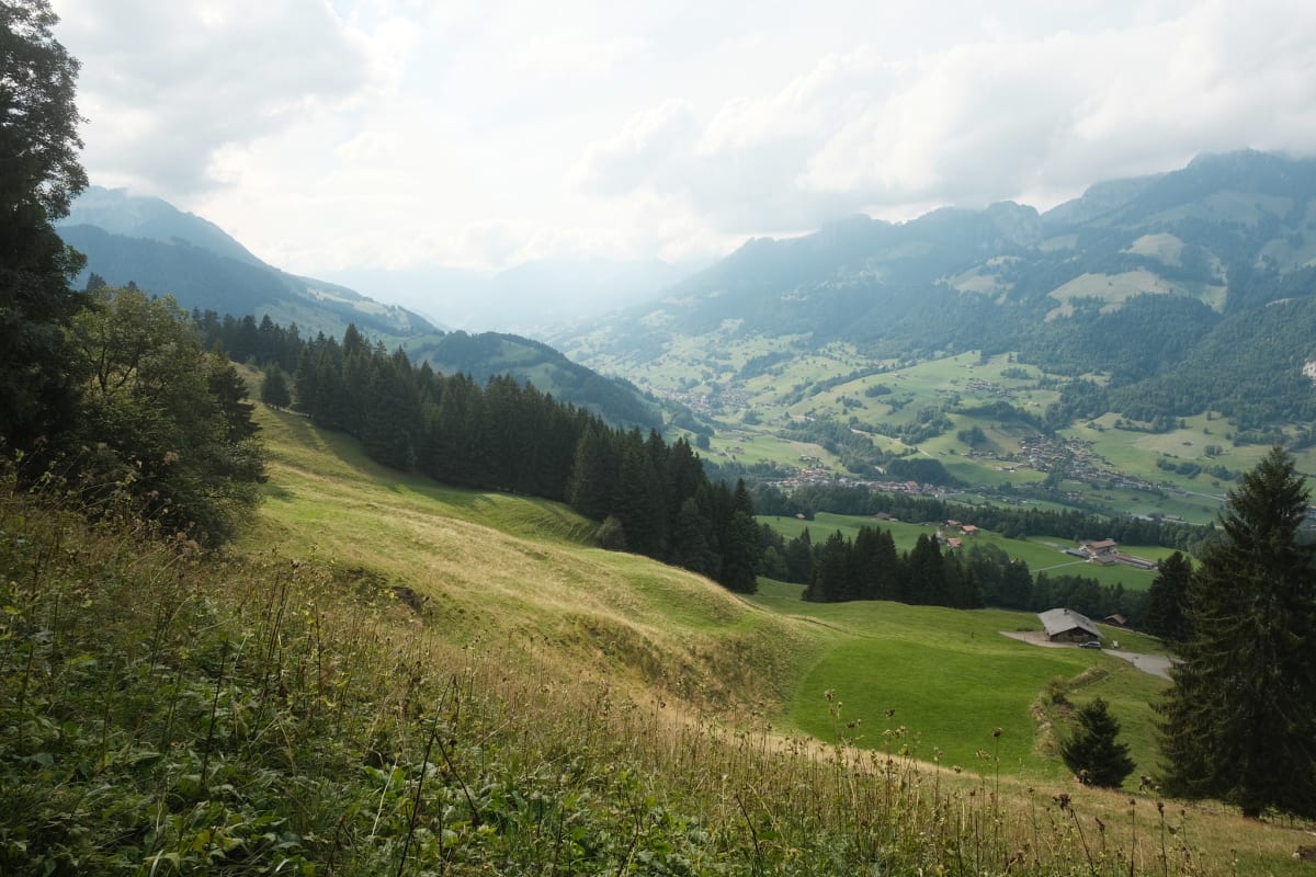 The view of the Diemtigtal.