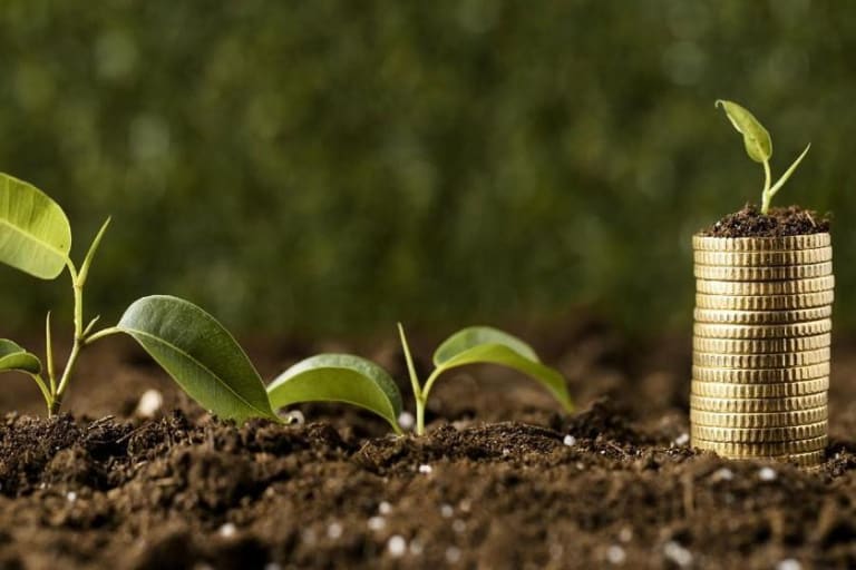 Maior acordo de remoção de carbono do Google começa no agro brasileiro