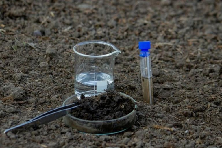 Além da análise química: um novo olhar para a saúde do solo