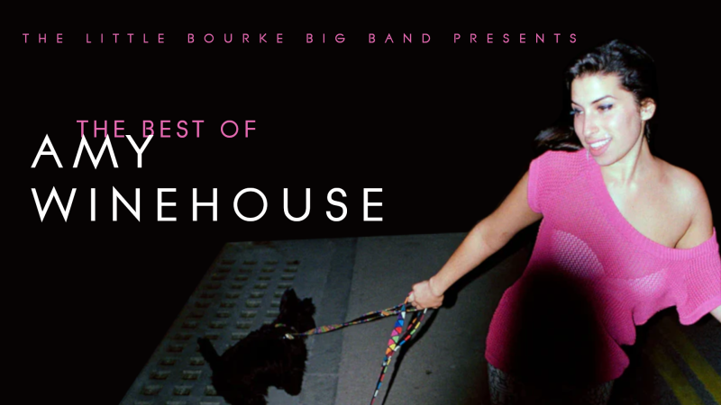 THE BEST OF AMY WINEHOUSE Picture