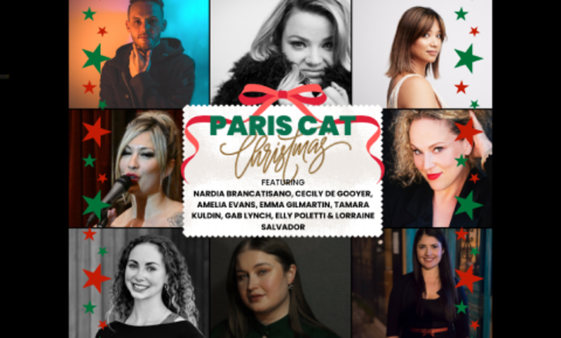 A Paris Cat Christmas Picture