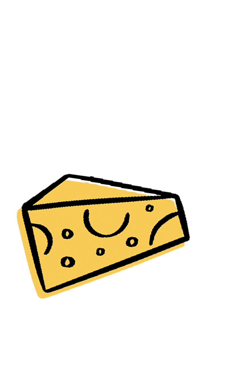 Cheese illustration