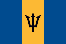 Barbados extends lower tuition rates to African students