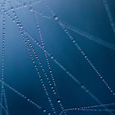 Tracking Coronavirus: New Methods Using Online Communication