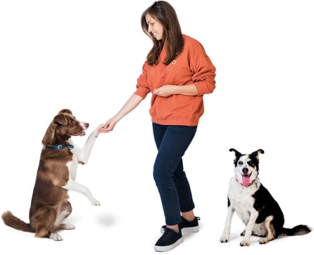 Katarzyna Gorska-Kocowska photo