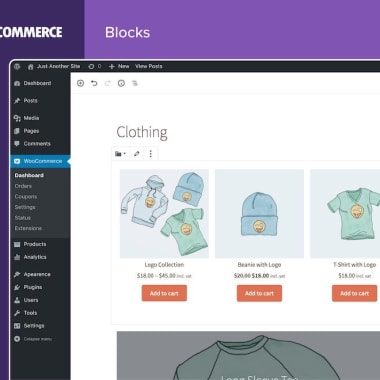 Best Email Marketing Practices for WooCommerce
