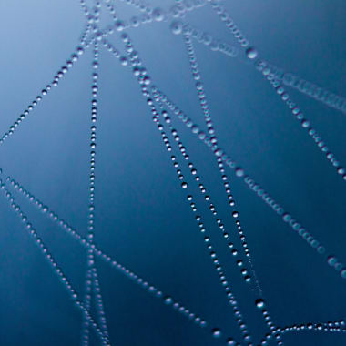 Tracking Coronavirus: New Methods Using Online Communication