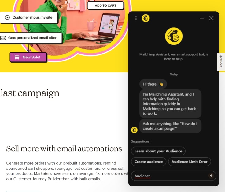 a chatbot on a mailchimp website