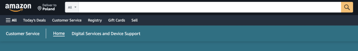 A search bar inside the Amazon's help center