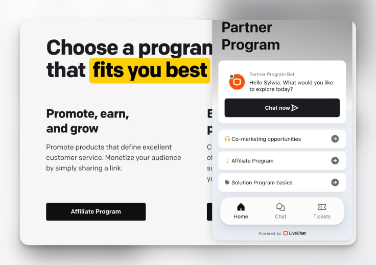 livechat partners main page with an open chat widget