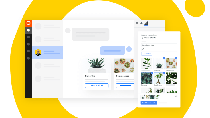 Product Cards panel in Customer Insight