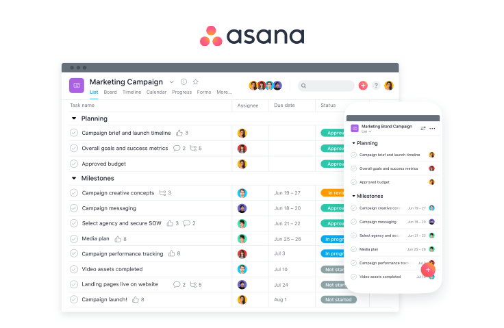 asana remote work