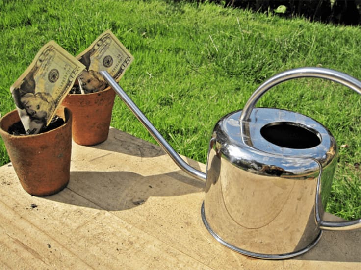 Watering money growing