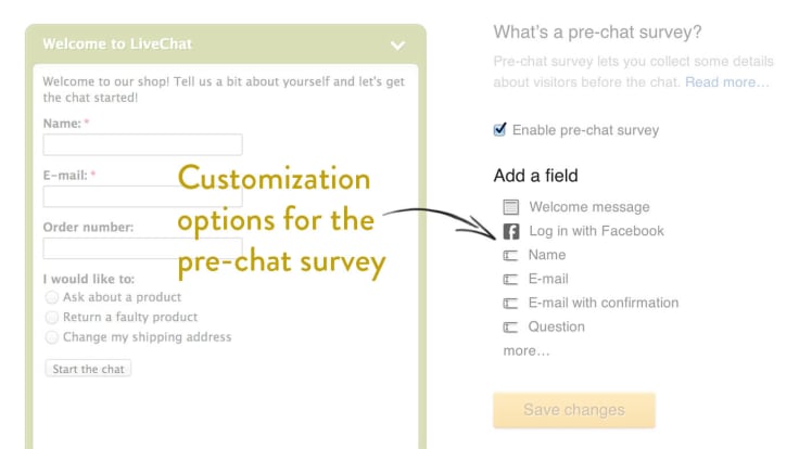 Customization Options