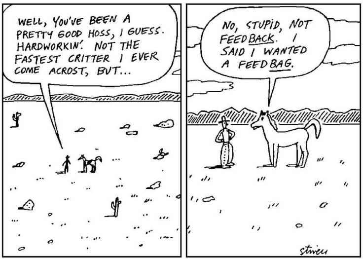 Feedback cartoon