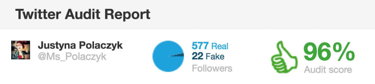 Twitter audit report