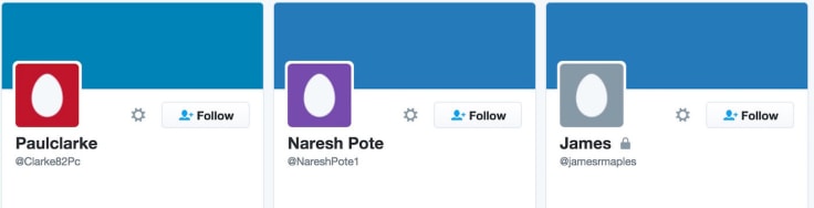 Twitter eggs