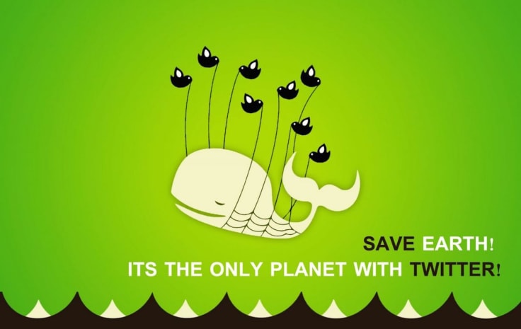 Whale don't buy twitter followers